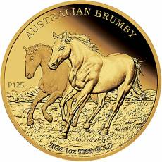 Goldmünze 1 oz Australian Brumby Proof 2024