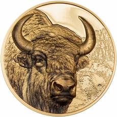 Goldmünze 1 oz Wild Mongolia Bison Ultra High Relief 2025